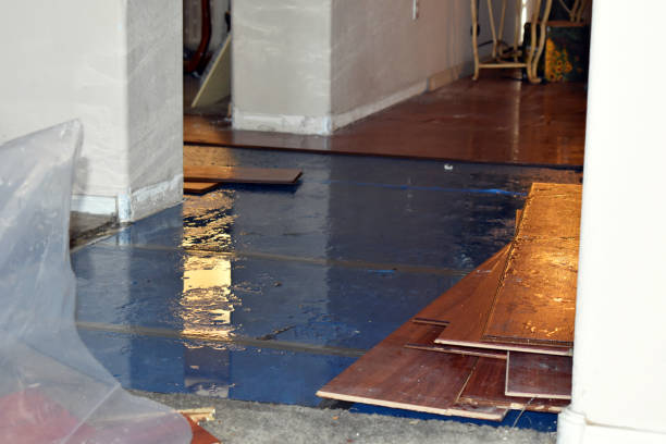 Professional Sewage Cleanup technician working in Summerfield, TX